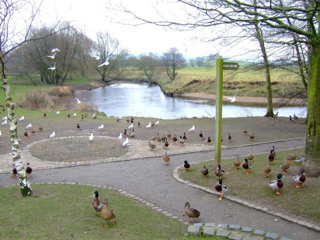 1232911_3e65214a.jpg
