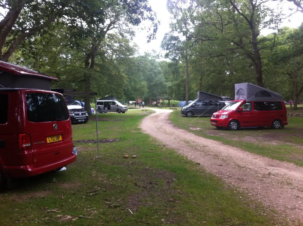 HollandsWoodMeet5.jpg