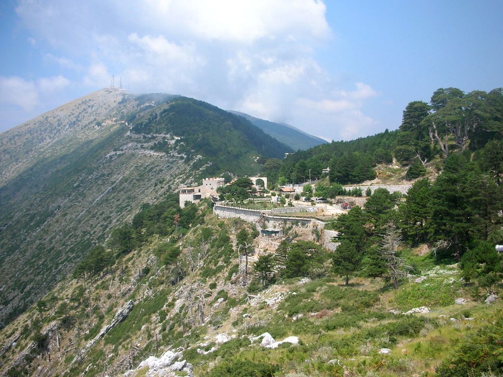 DSCN5868_zpsrjw9cern.jpg